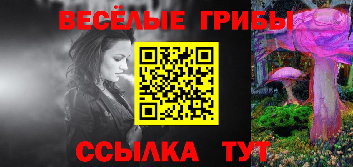 Сибай  Галлюциногенные грибы Psilocybe  Вход с VPN 